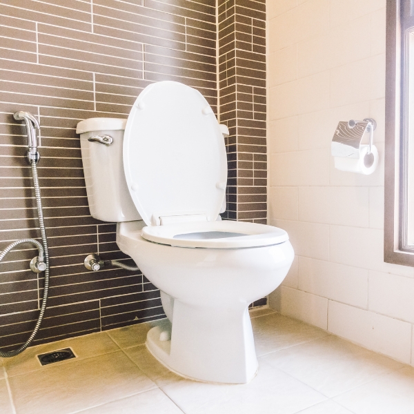 https://www.johnsadler.ca/wp-content/uploads/2022/11/toilet.jpg